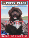 Cover image for Baxter